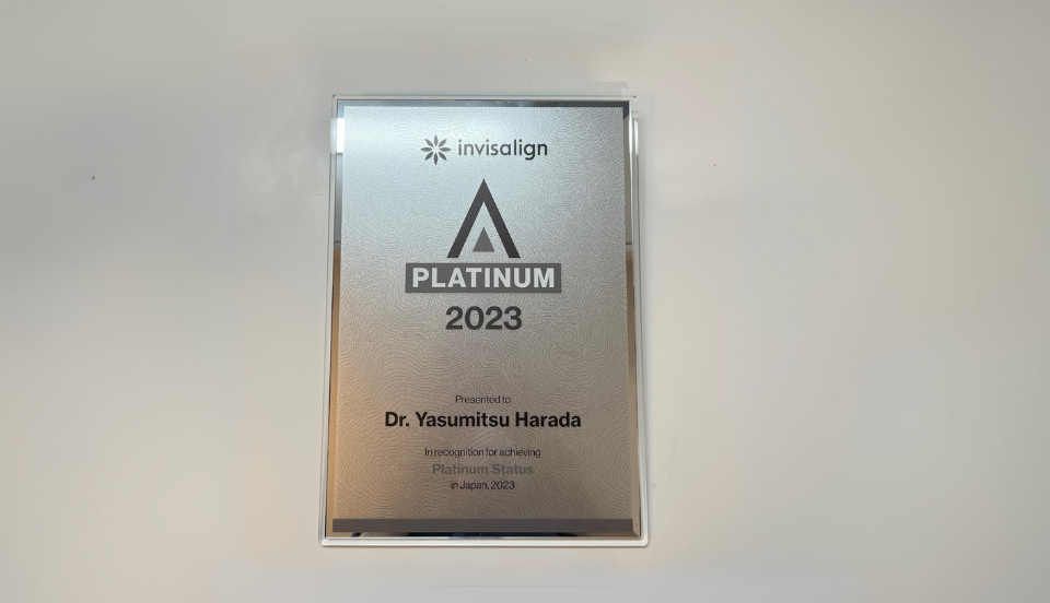 20年以上の豊富な実績